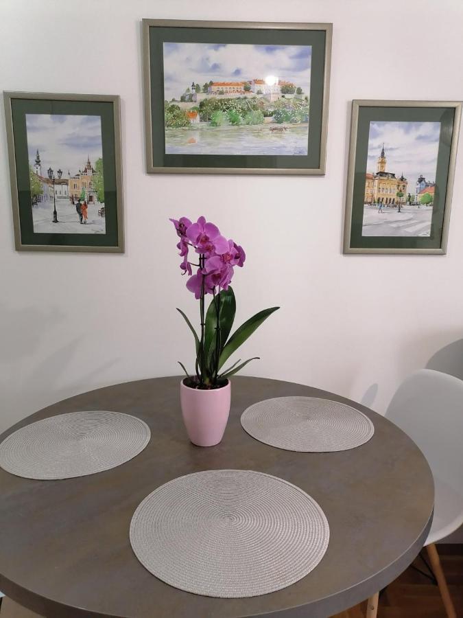 Carmen Deluxe Lägenhet Novi Sad Exteriör bild
